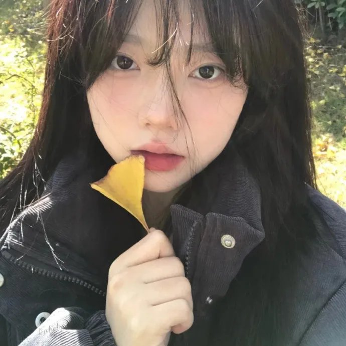 连环情杀案